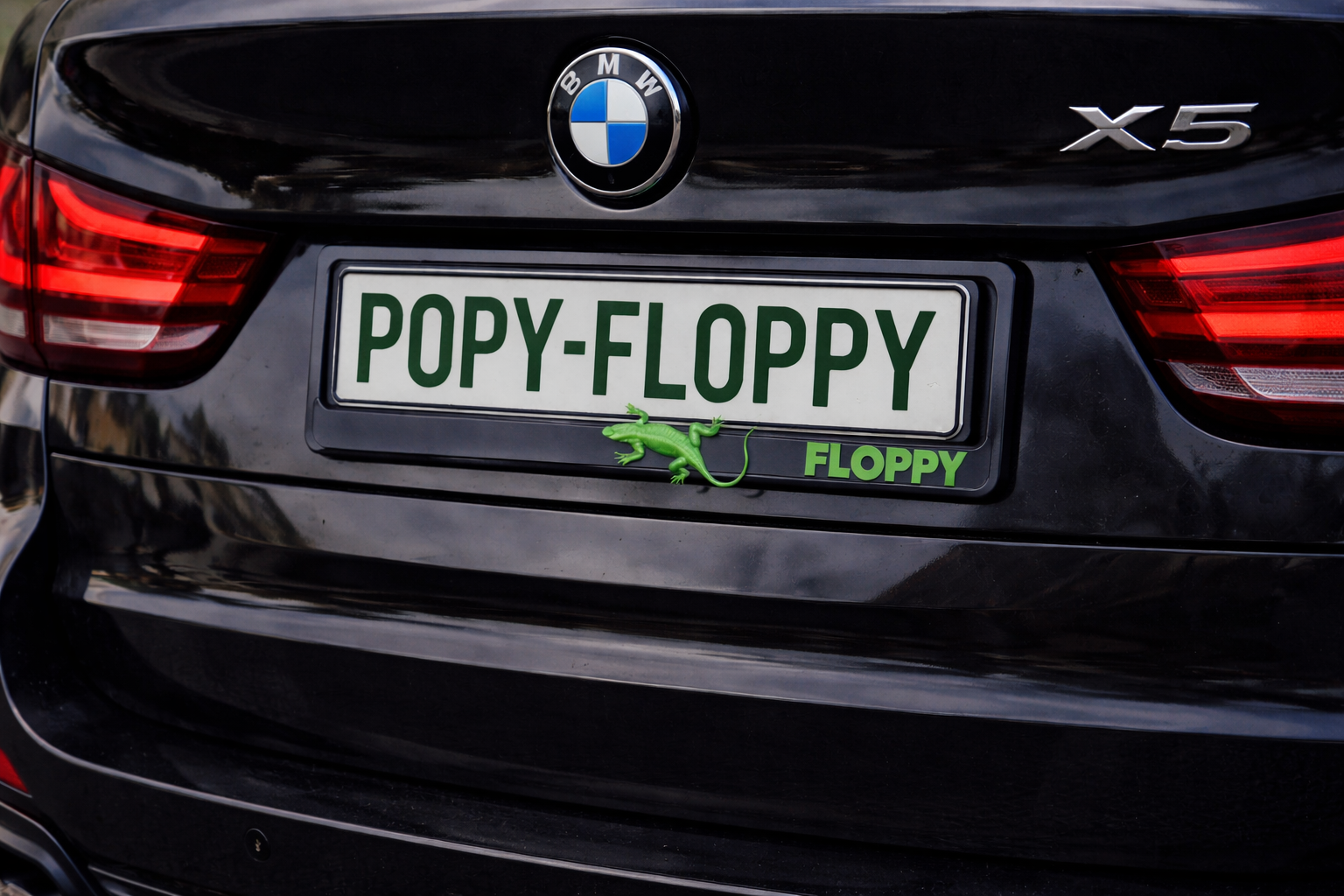 Lizard underlay — fitted on BMW rear plate